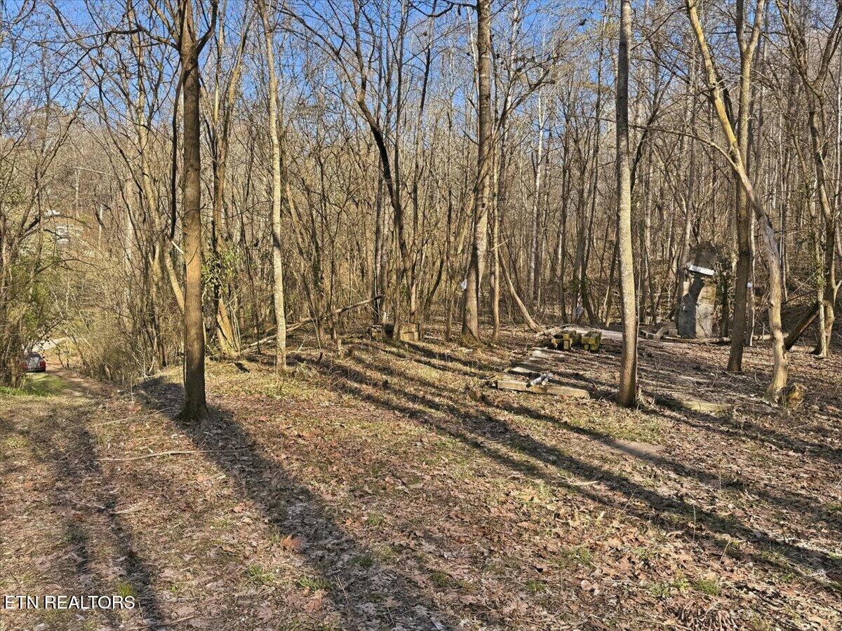 180 Hill Road Heiskell, TN 37754 - Photo 9 of 18 15-007_IMG_2024