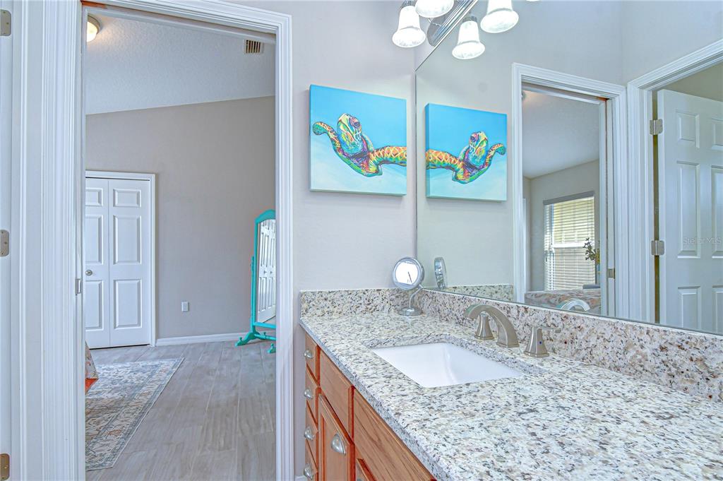 14112 Creek Run Drive Riverview, FL 33579 - Photo 25 of 40 a bathroom with a granite countertop sink and a mirror