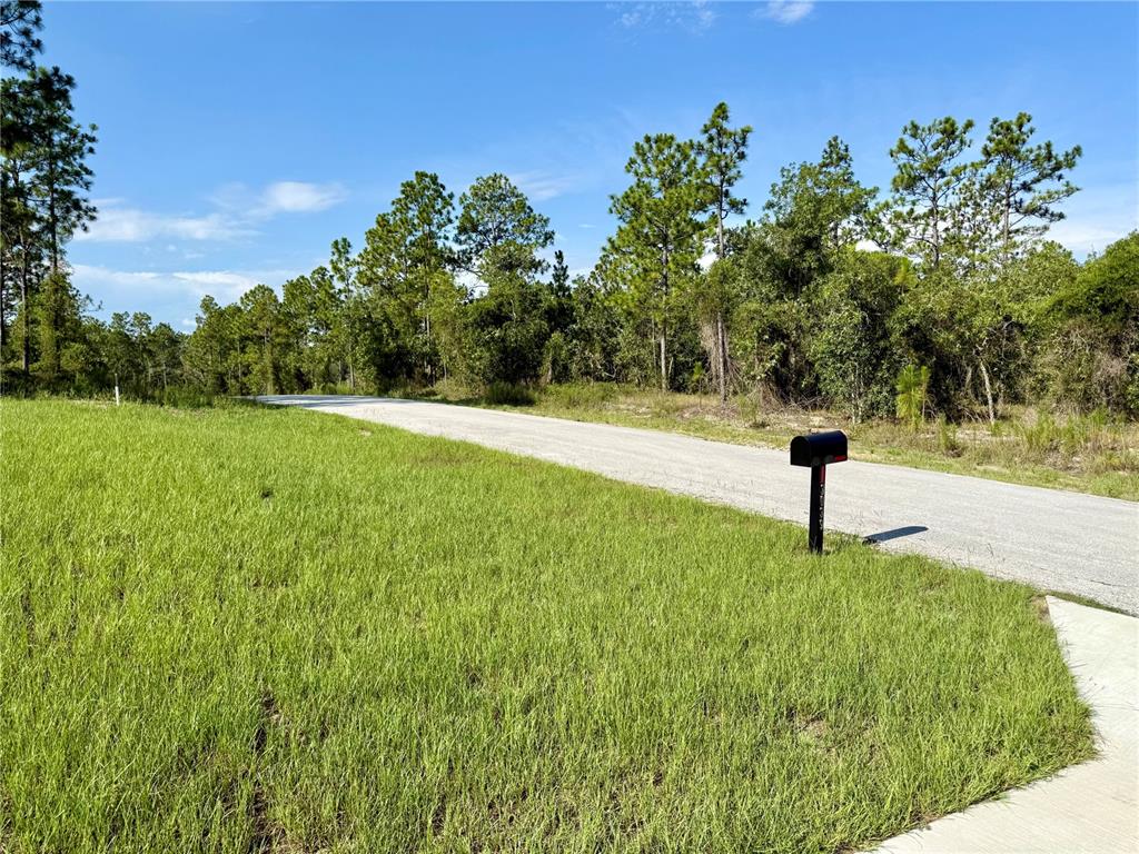 3039 Southwest Viburnum Road Dunnellon, FL 34431 - Photo 12 of 17 Gallery Image 12