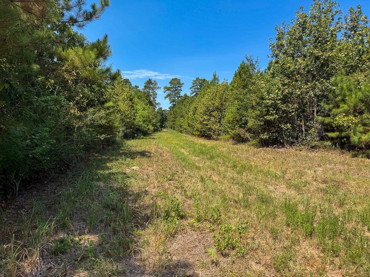 0 Johnson Road Huntsville, TX 77320 - Photo 26 of 29 Gallery Image 26