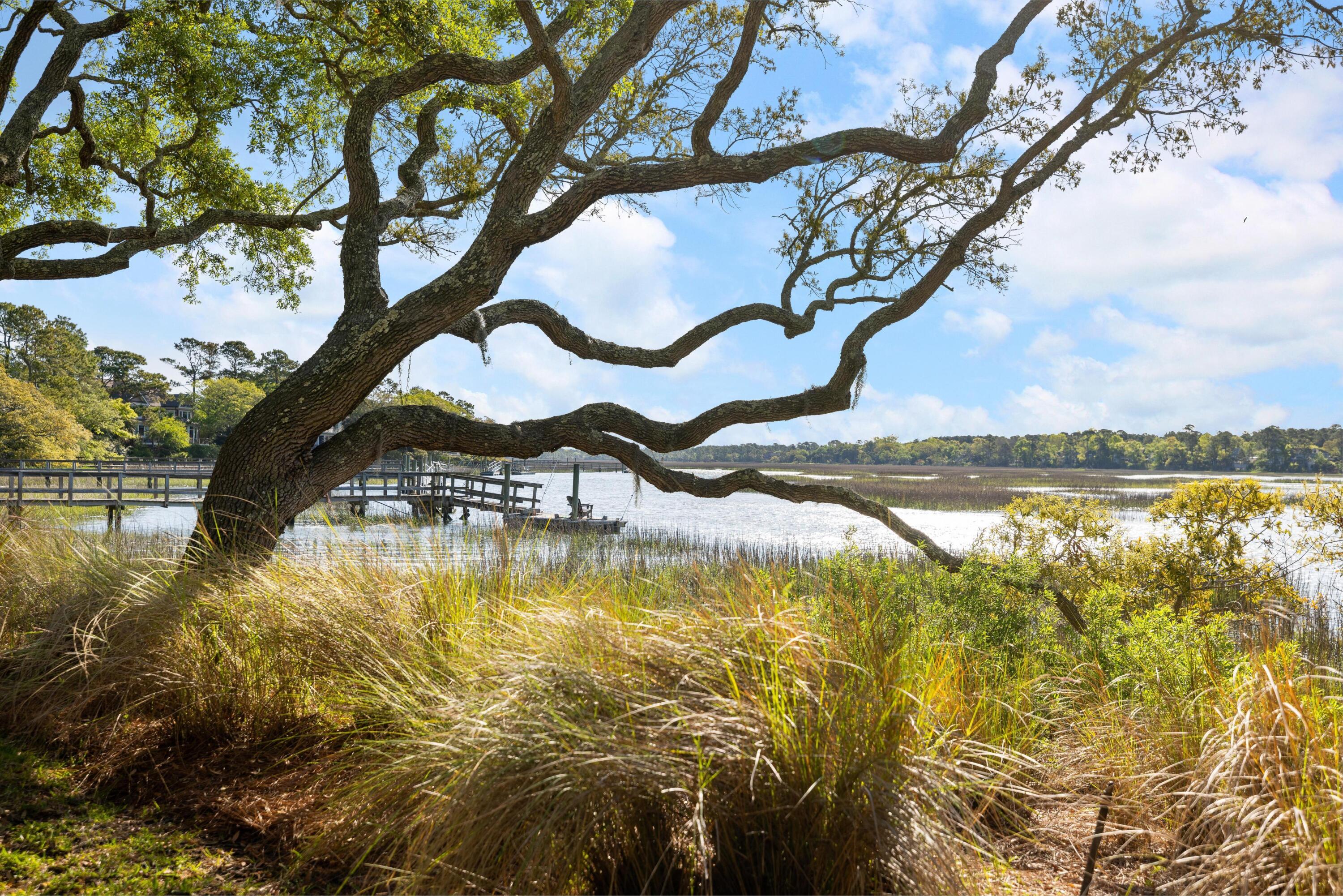 19 Rhetts Bluff Road Kiawah Island, SC 29455 - Photo 6 of 53 126418-EllisCreekPhotography19%20Rhetts%