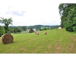 Lot 1 Happy Valley Road Limestone, TN 37681 - Photo 2 of 7 Photo 2