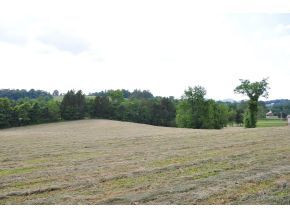 Lot 1 Happy Valley Road Limestone, TN 37681 - Photo 3 of 7 Photo 3
