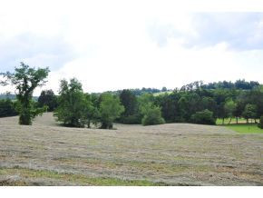Lot 1 Happy Valley Road Limestone, TN 37681 - Photo 4 of 7 Photo 4