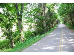 Lot 1 Happy Valley Road Limestone, TN 37681 - Photo 5 of 7 Photo 5