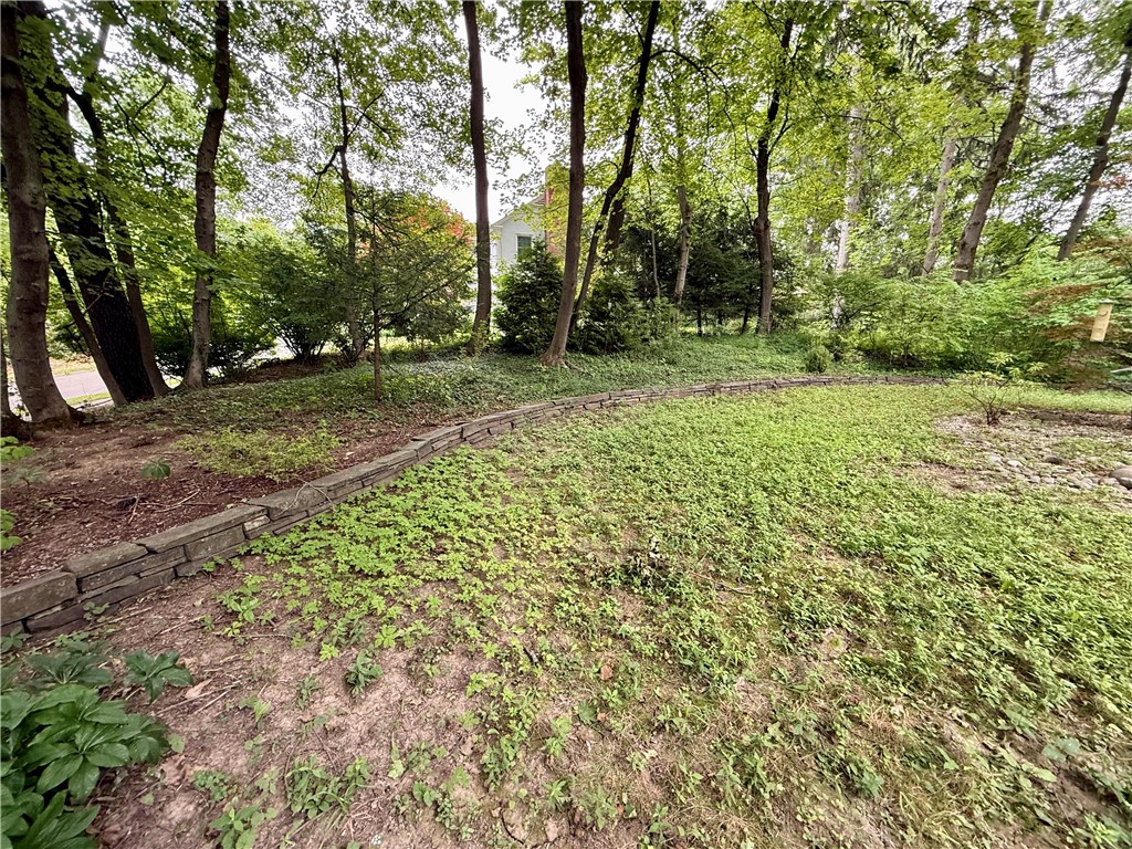 325 Highland Road Ithaca Town, NY 14850 - Photo 27 of 27 Park-like backyard