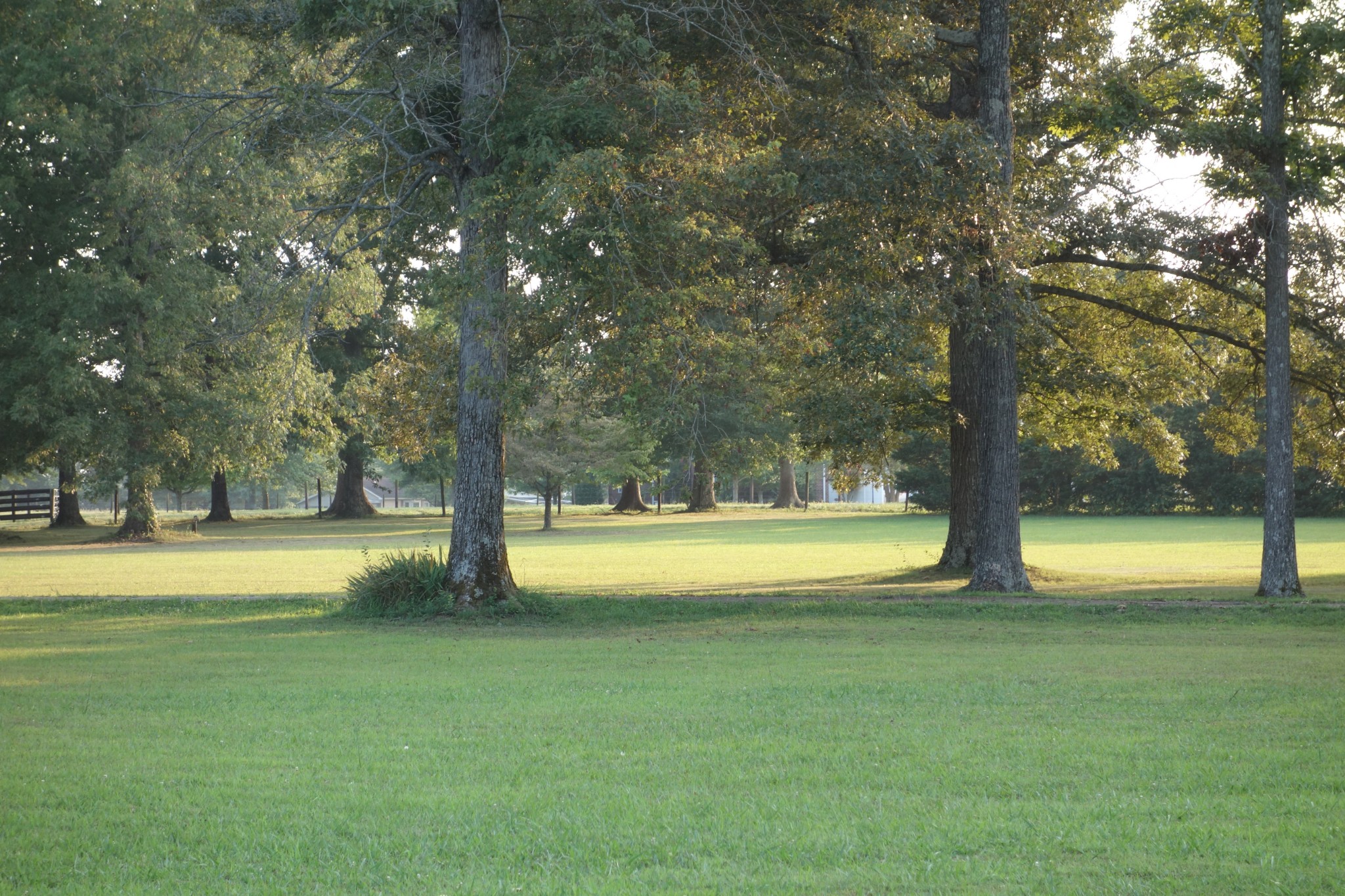 1157 Morgan Road Lafayette, TN 37083 - Photo 38 of 45 a view of pool with trees