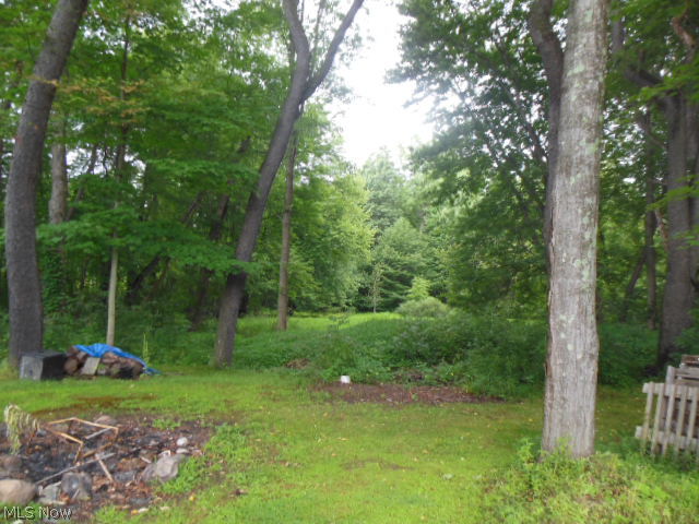 7273 Peck Road Ravenna, OH 44266 - Photo 15 of 23 Gallery Image 15