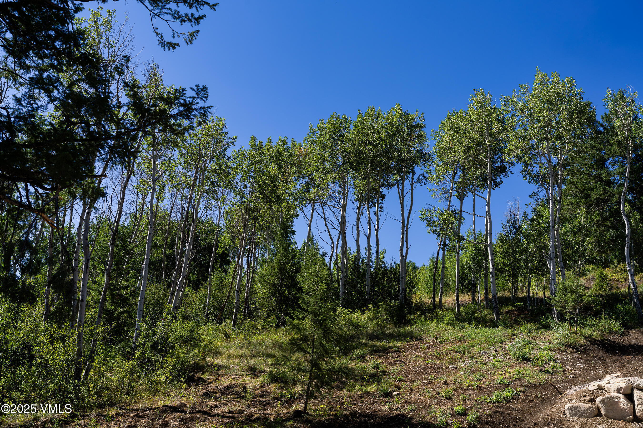 171 Sunquist Road Edwards, CO 81632 - Photo 77 of 101 171_Sunquist_UC_18