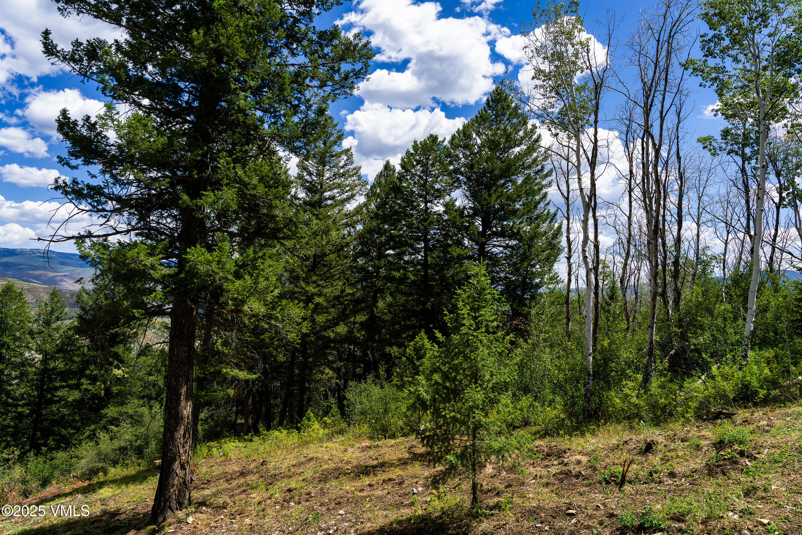 171 Sunquist Road Edwards, CO 81632 - Photo 78 of 101 171_Sunquist_UC_45