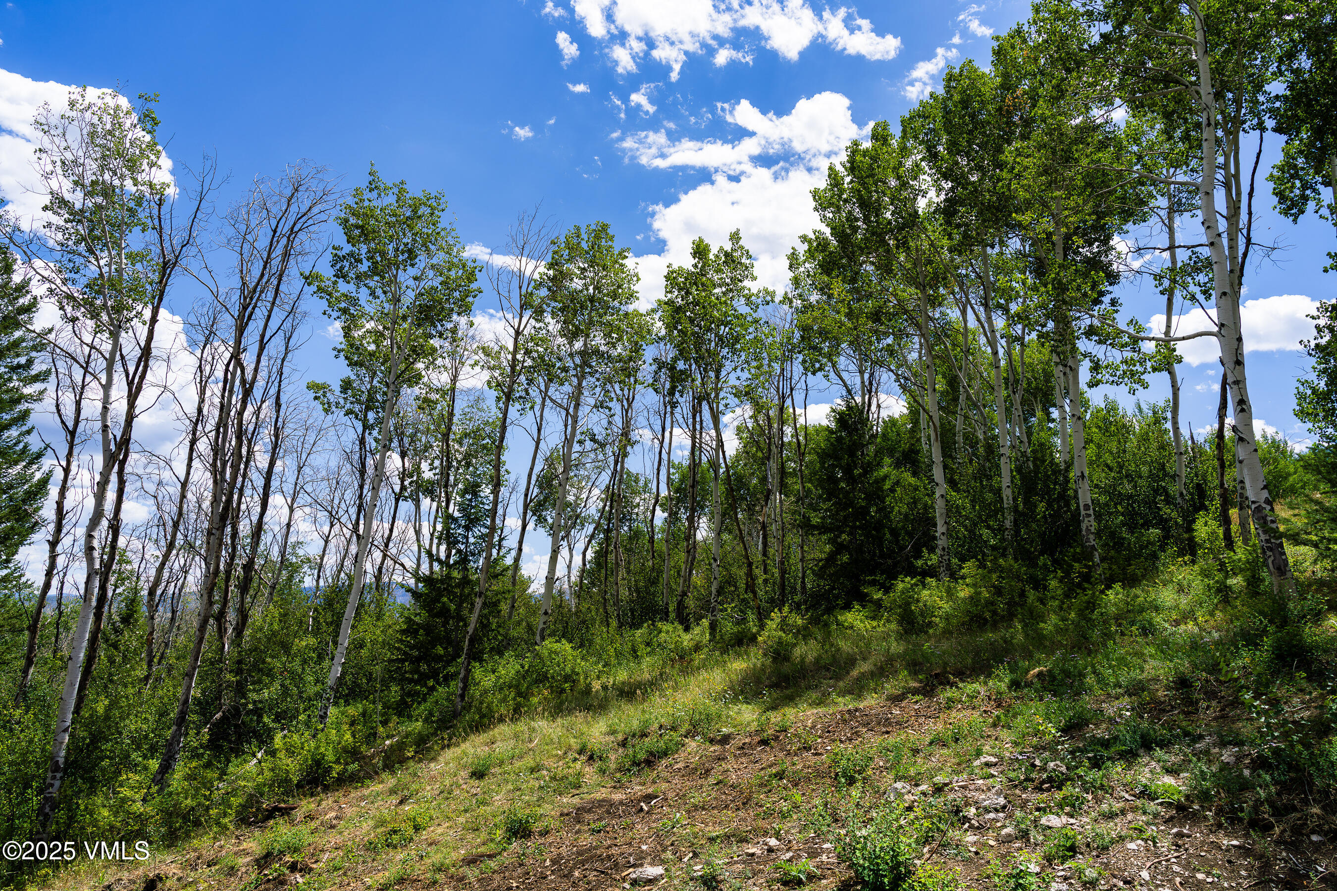 171 Sunquist Road Edwards, CO 81632 - Photo 81 of 101 171_Sunquist_UC_44