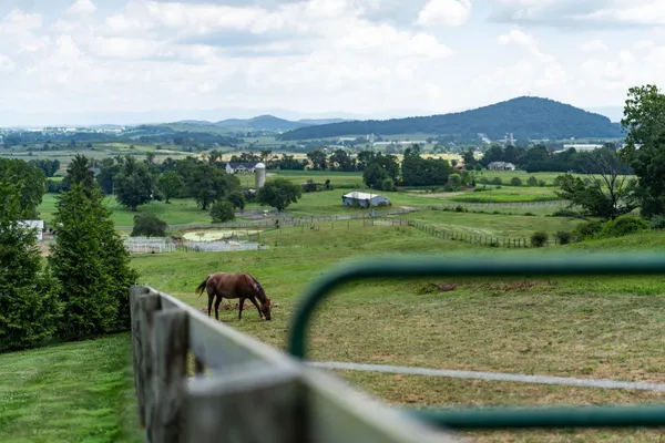 $764,900 | 635 Churchmans Mill Road, Stuarts Draft, VA 24477