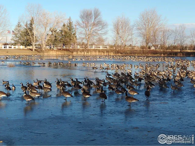 $169,900 | 3420 Black Hills, Unit 398, Longmont, CO 80504