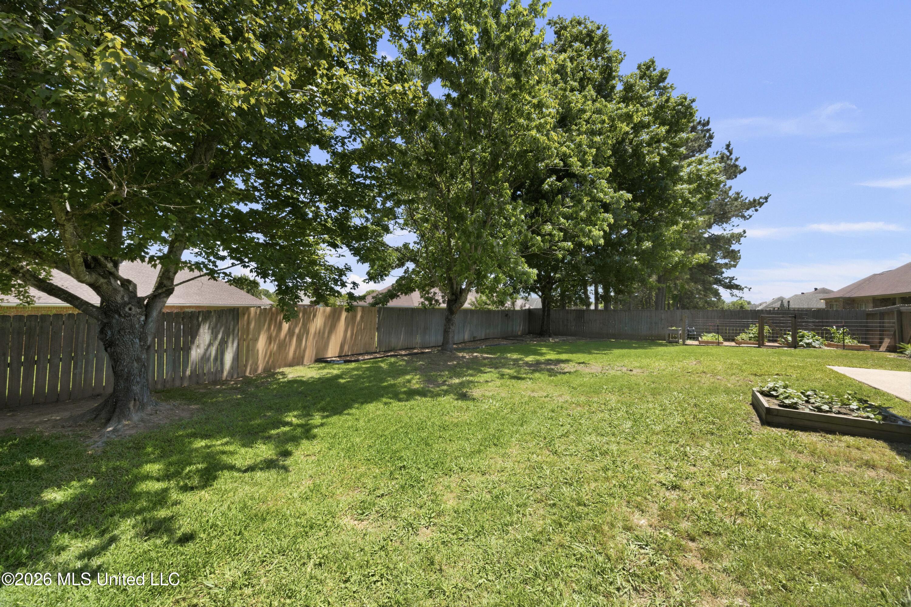 134 Bradfield Road Madison, MS 39110 - Photo 12 of 28 EOSR9652