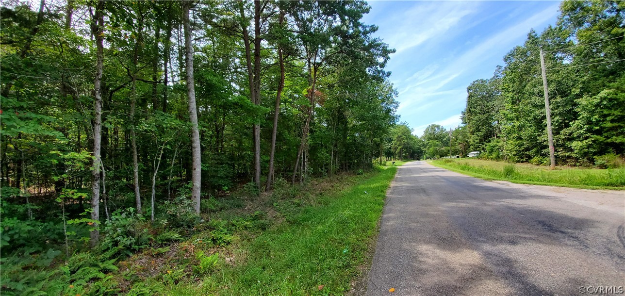 0 Community House Road Columbia, VA 23038 - Photo 1 of 3 a view of a park with large trees