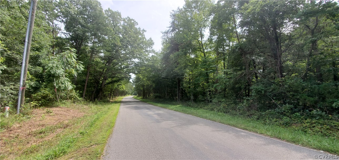 0 Community House Road Columbia, VA 23038 - Photo 2 of 3 a view of a street view