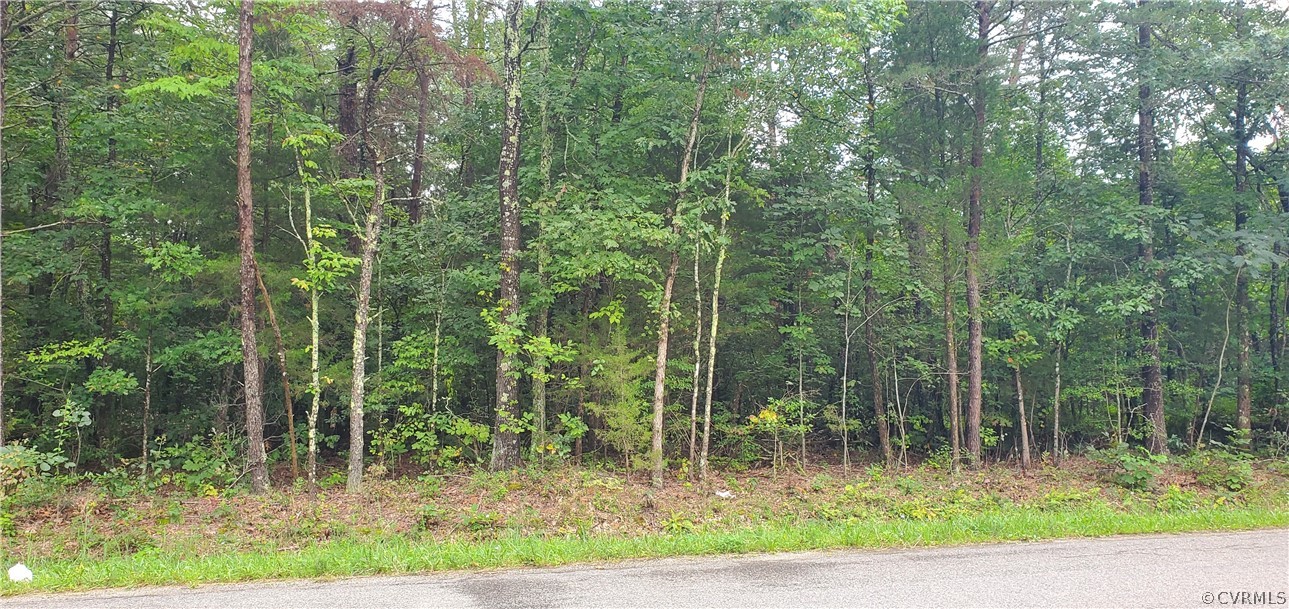 0 Community House Road Columbia, VA 23038 - Photo 3 of 3 a view of a forest with a tree