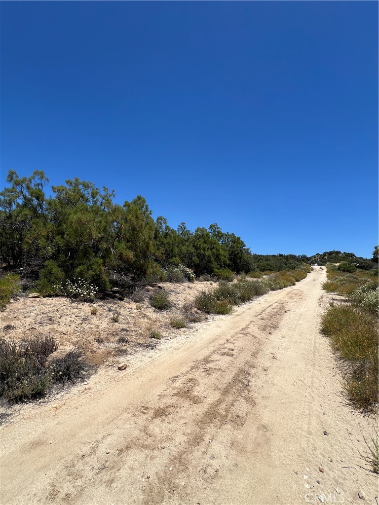 0 Tamatea Road Anza, CA 92539 - Photo 11 of 12
