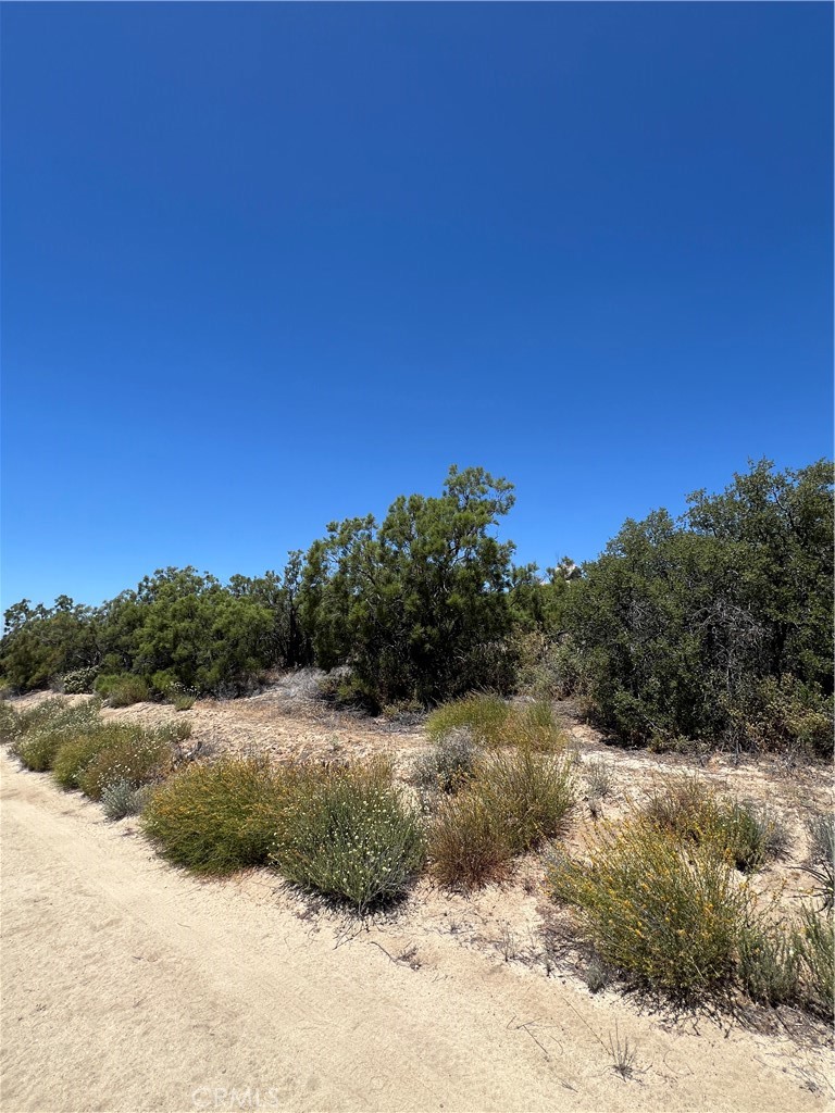 0 Tamatea Road Anza, CA 92539 - Photo 12 of 12 a view of a dry yard with mountains in the background