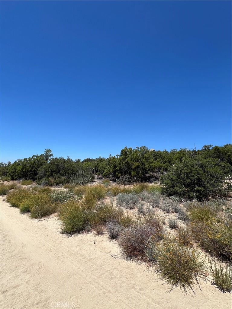 0 Tamatea Road Anza, CA 92539 - Photo 8 of 12 a view of lake and mountain