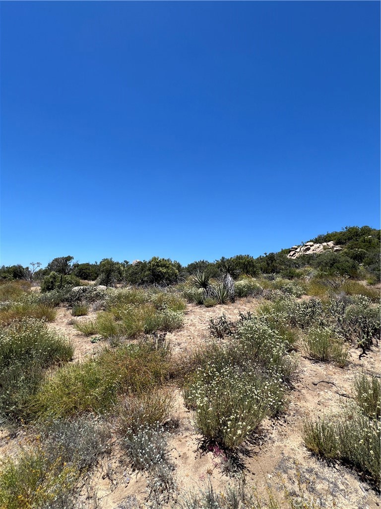 0 Tamatea Road Anza, CA 92539 - Photo 10 of 12 a view of mountain view and mountain
