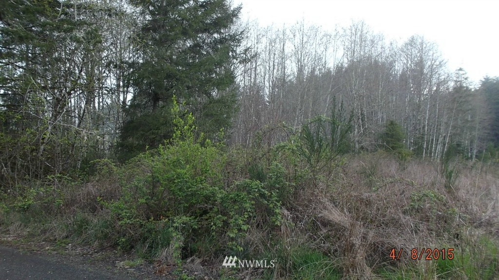 -xxx Smith Road Castle Rock, WA 98611 - Photo 2 of 5 Gallery Image 2