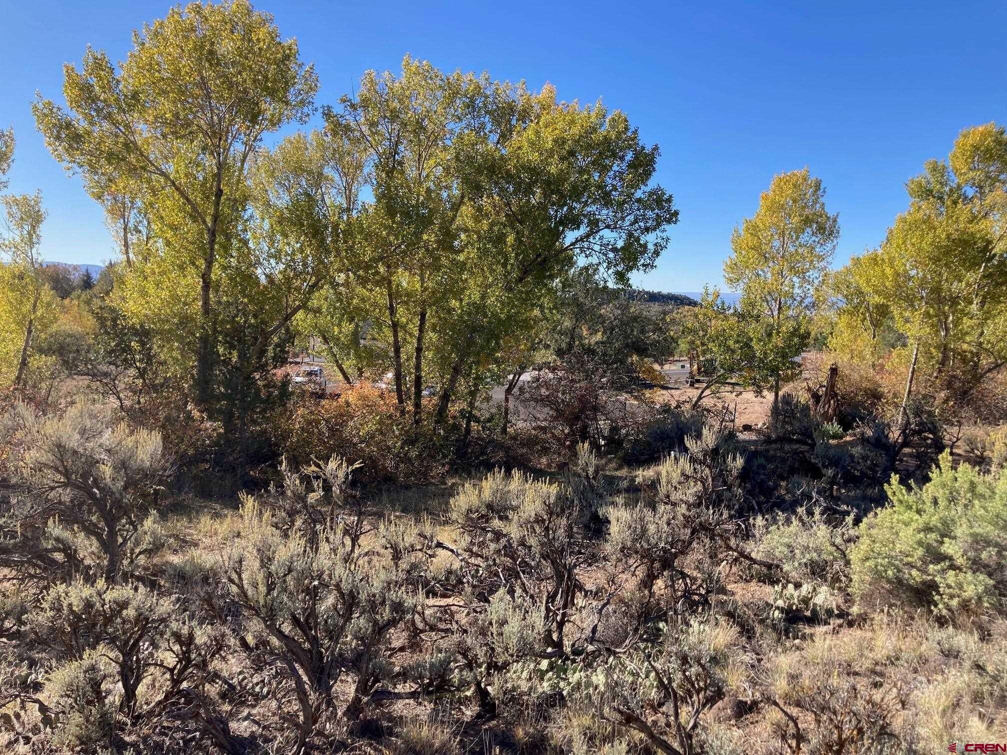 1590 Southeast 3rd Street Cedaredge, CO 81413 - Photo 12 of 26 a view of a forest with a tree