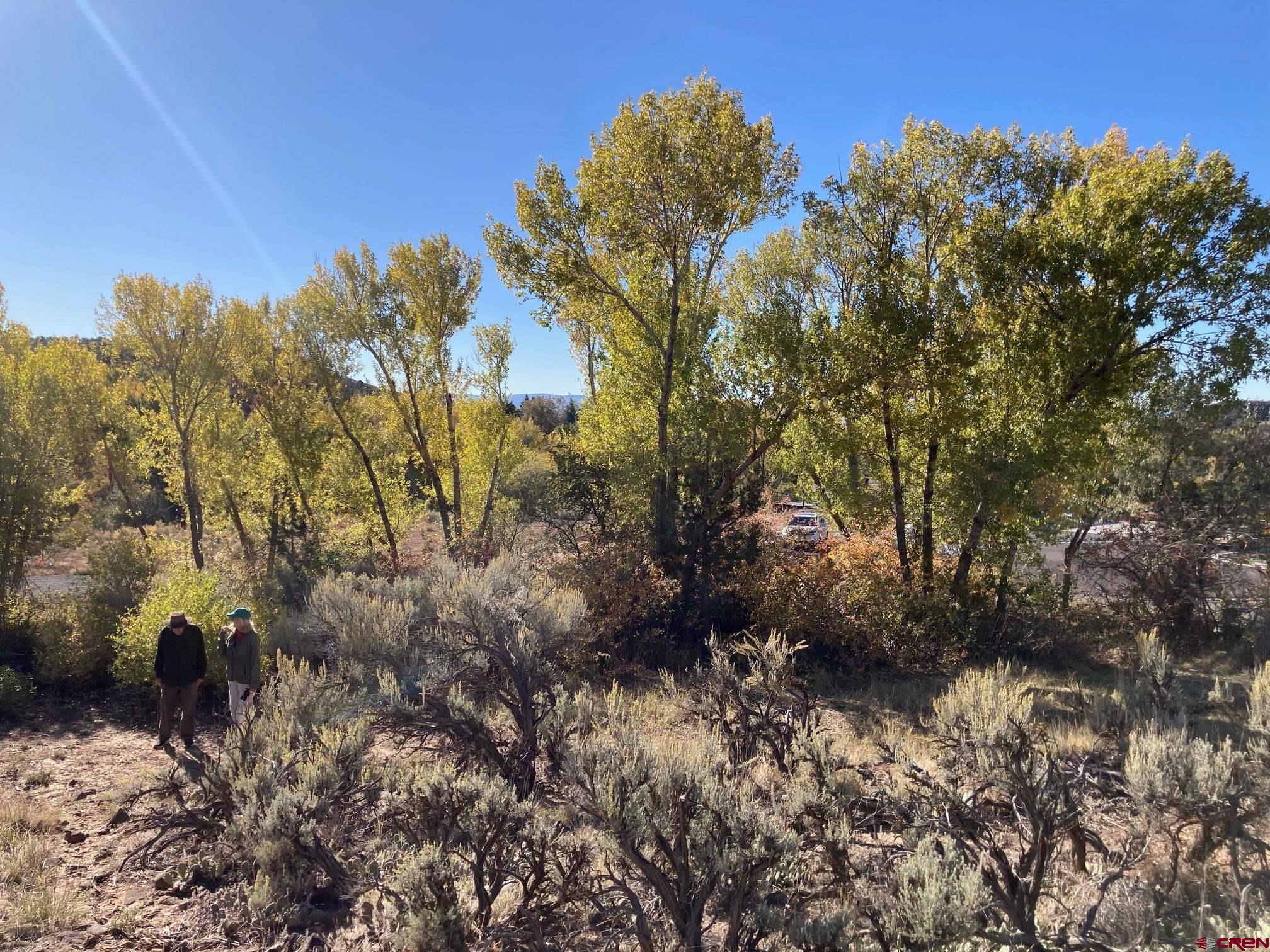 1590 Southeast 3rd Street Cedaredge, CO 81413 - Photo 14 of 26 a view of a yard