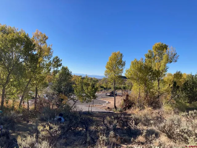 a view of a large building with a mountain in the background