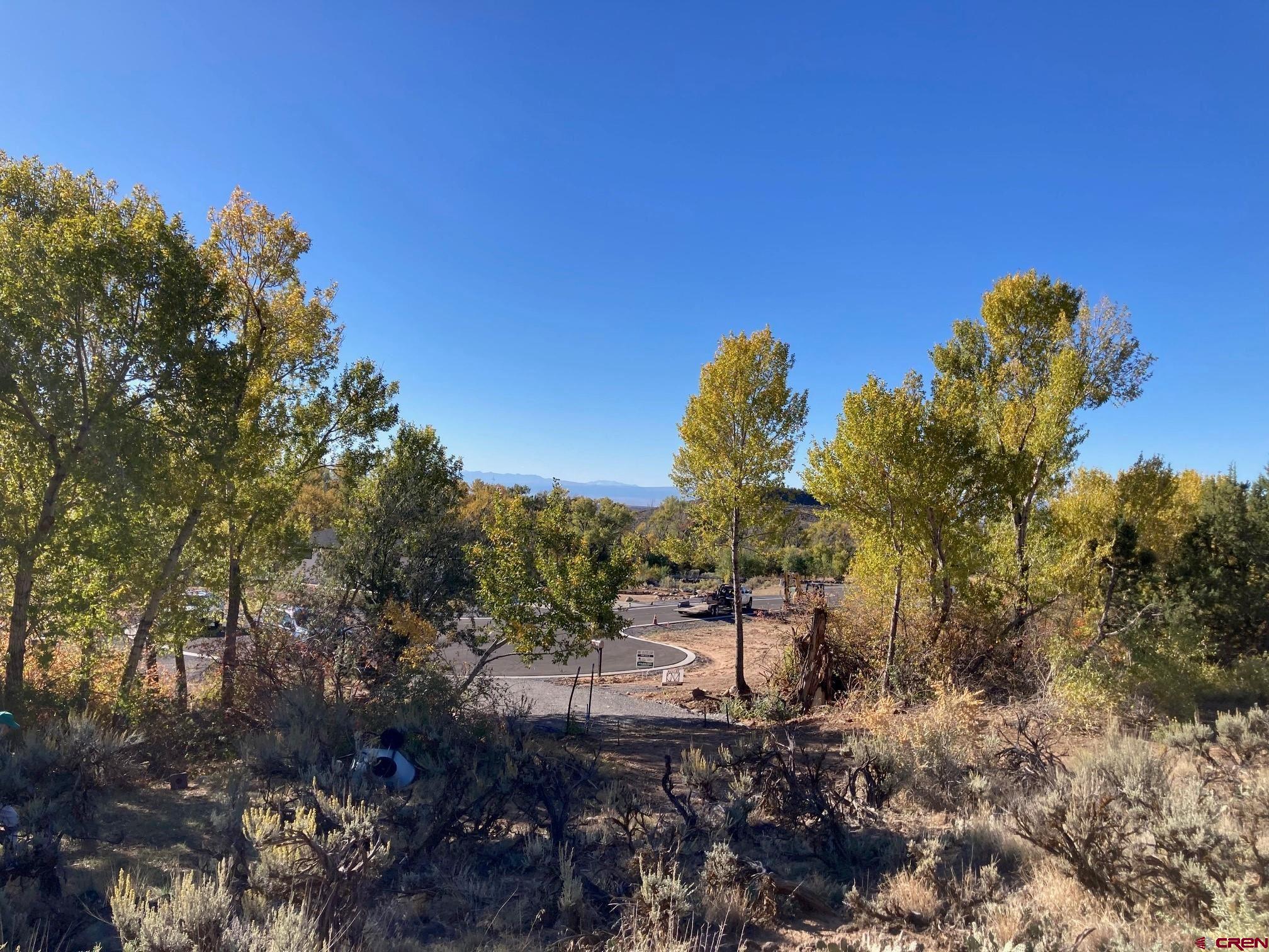 1590 Southeast 3rd Street Cedaredge, CO 81413 - Photo 15 of 26 a view of a large tree with green space