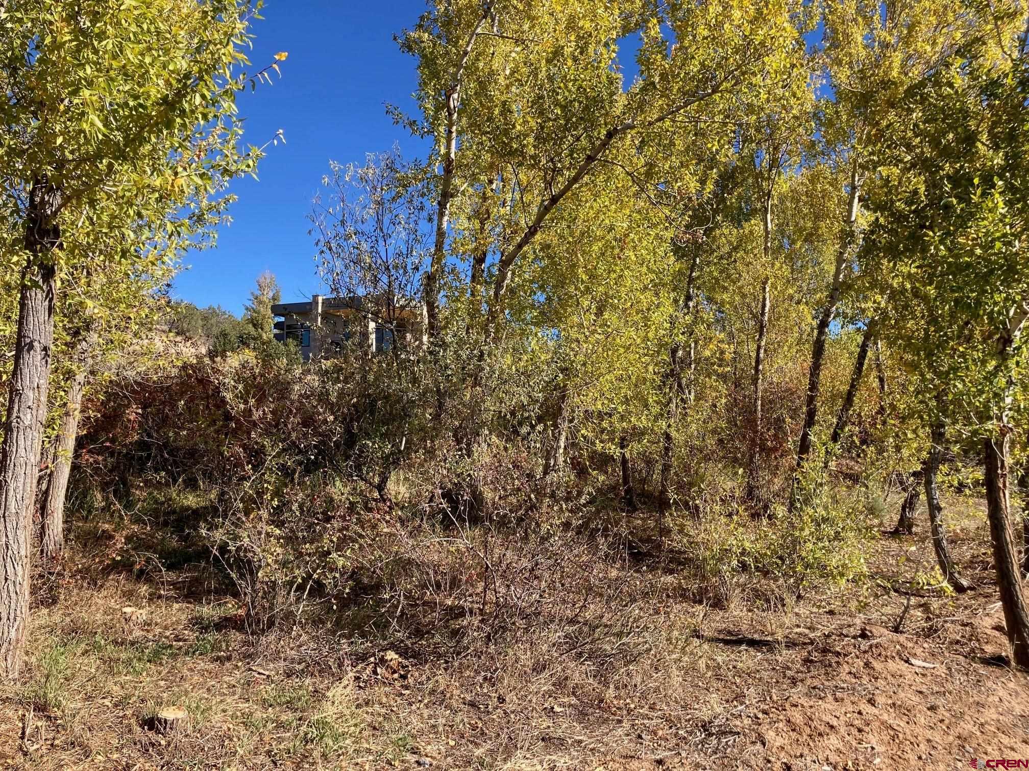 1590 Southeast 3rd Street Cedaredge, CO 81413 - Photo 20 of 26 a view of a yard
