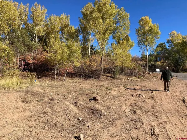 $135,000 | 1590 Southeast 3rd Street, Cedaredge, CO 81413