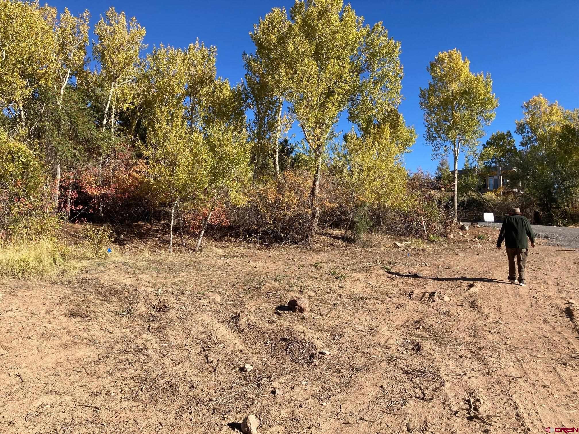 1590 Southeast 3rd Street Cedaredge, CO 81413 - Photo 2 of 26