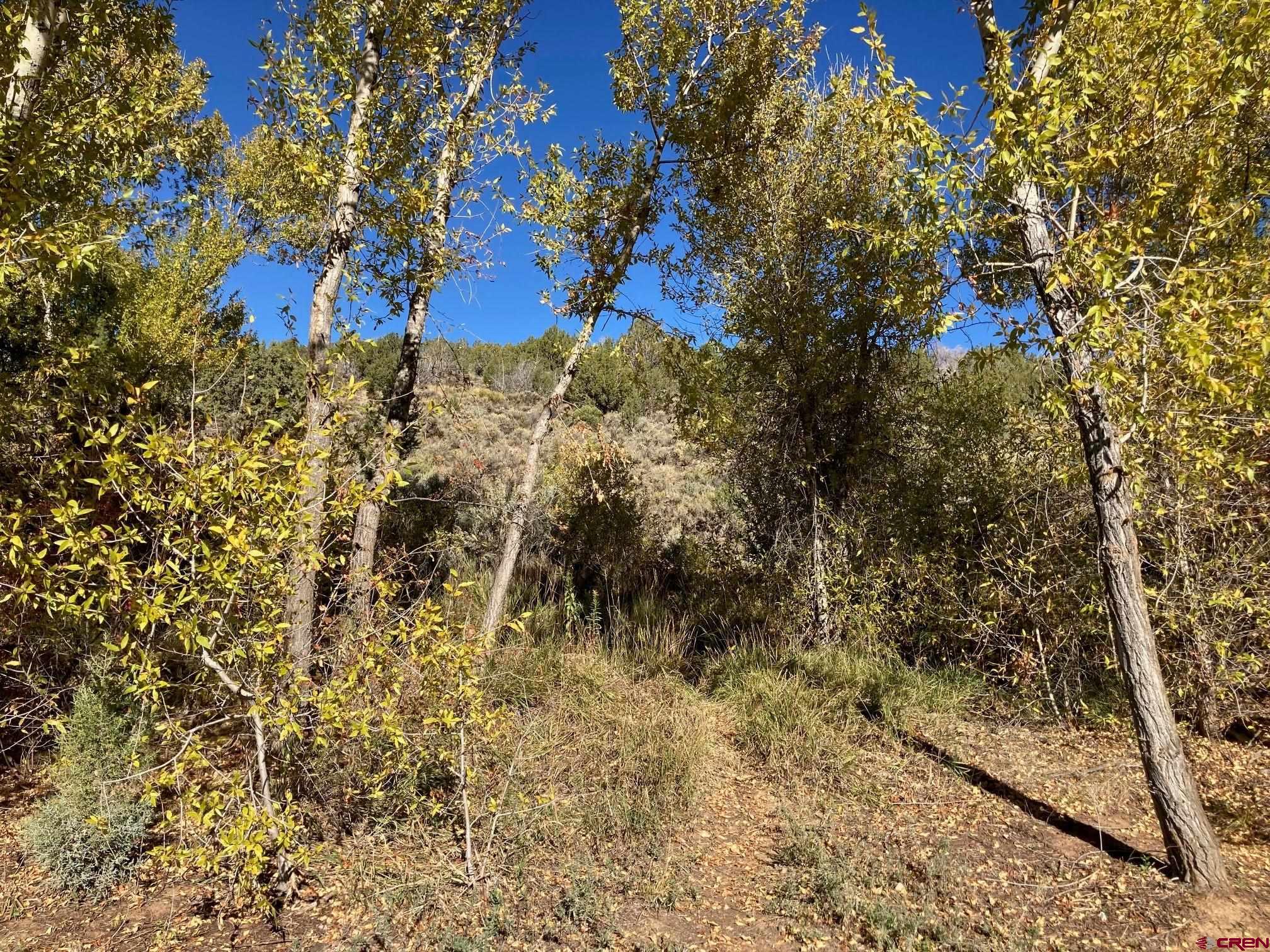 1590 Southeast 3rd Street Cedaredge, CO 81413 - Photo 21 of 26