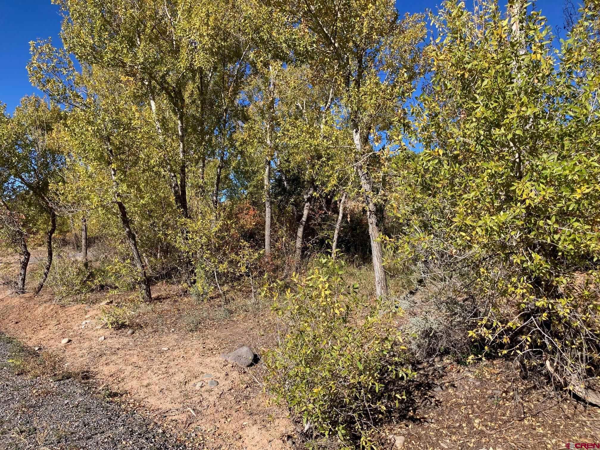 1590 Southeast 3rd Street Cedaredge, CO 81413 - Photo 22 of 26 a backyard of a house with lots of green space
