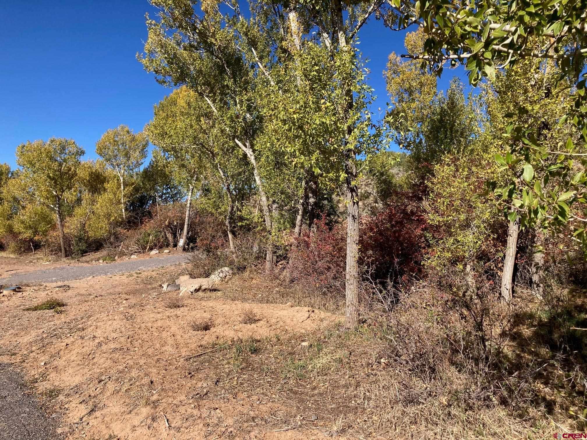 1590 Southeast 3rd Street Cedaredge, CO 81413 - Photo 23 of 26 a view of a forest with trees