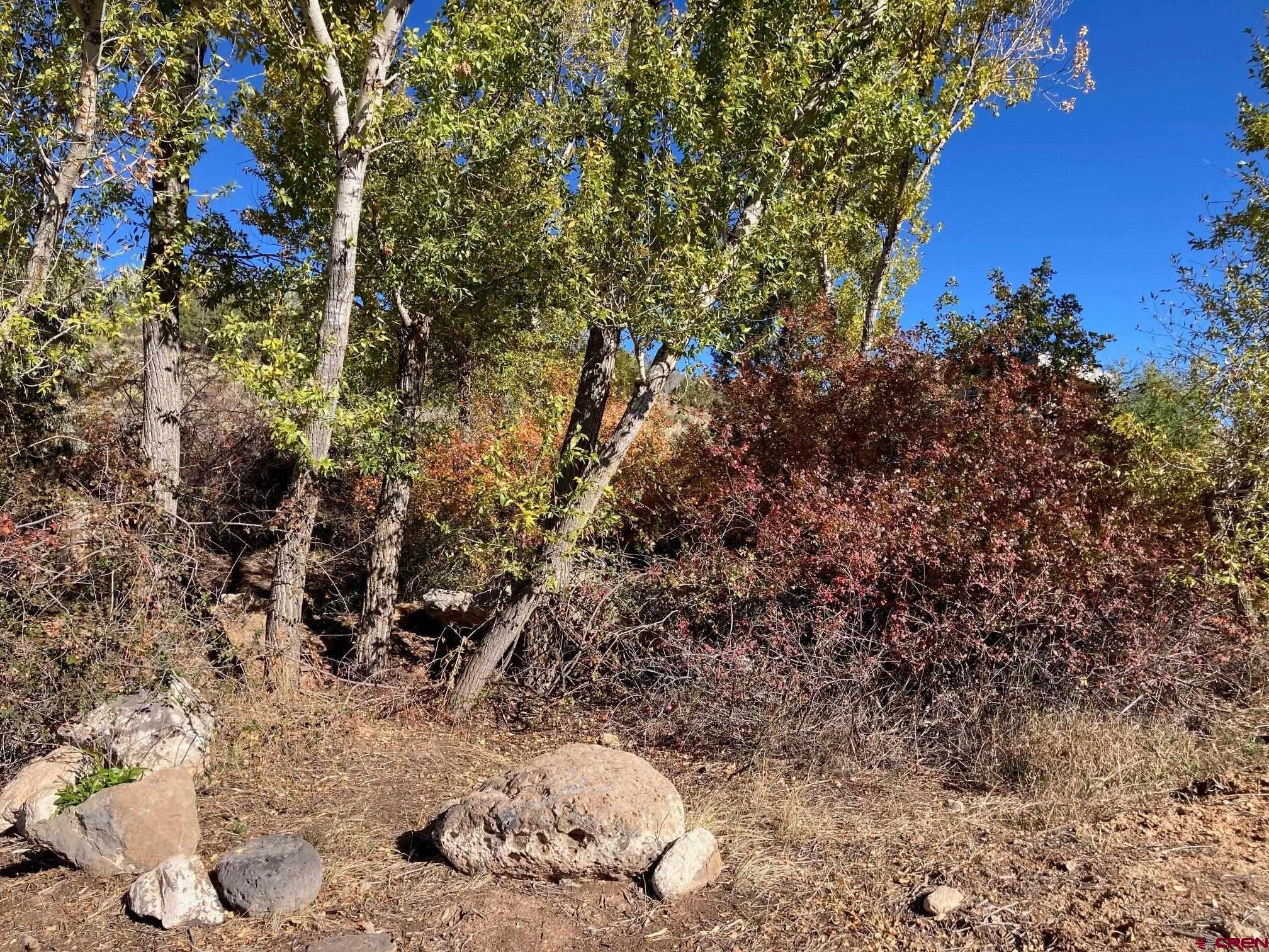 1590 Southeast 3rd Street Cedaredge, CO 81413 - Photo 24 of 26 a view of a backyard of the house