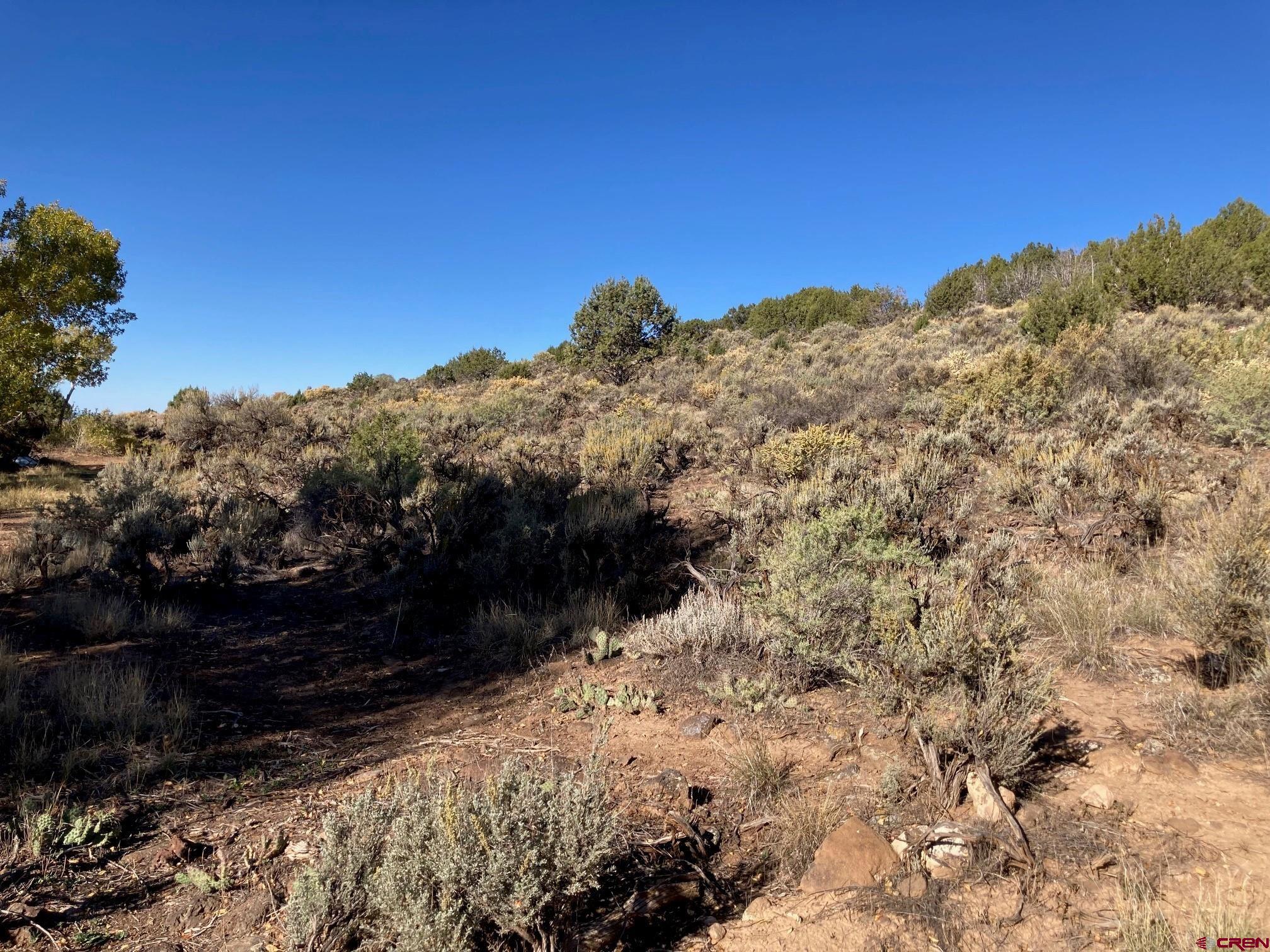 1590 Southeast 3rd Street Cedaredge, CO 81413 - Photo 6 of 26 a view of a yard with a tree