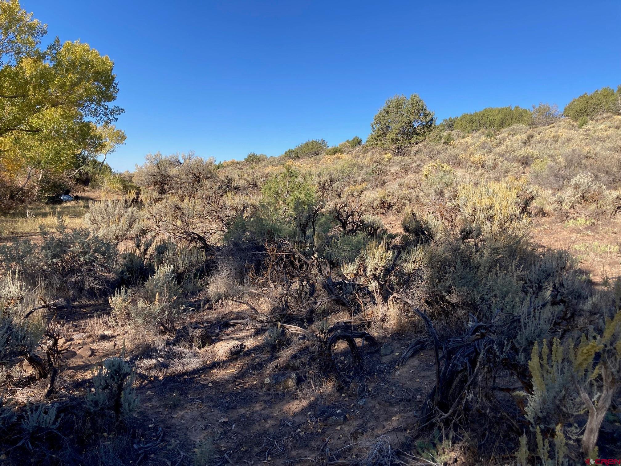 1590 Southeast 3rd Street Cedaredge, CO 81413 - Photo 7 of 26 a view of a covered with trees in a background