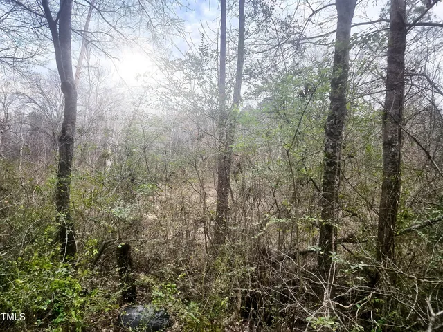 $30,000 | 0 Short Street, Littleton, NC 27850