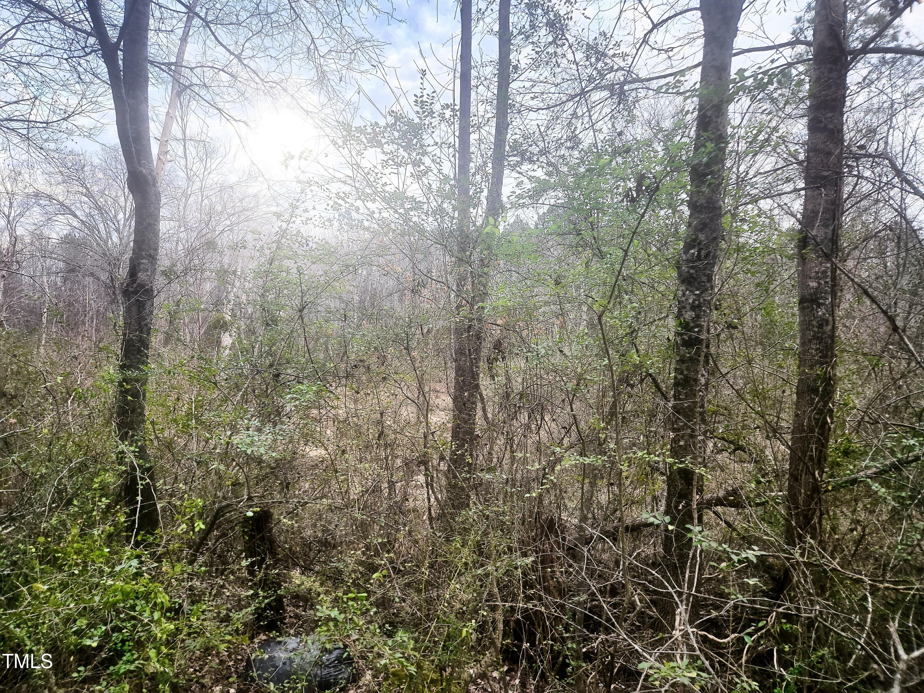 Short Street Lot Pic Front