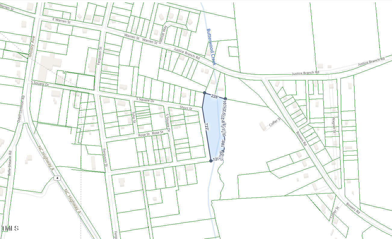 0 Short Street Littleton, NC 27850 - Photo 6 of 7 Short Street View 3