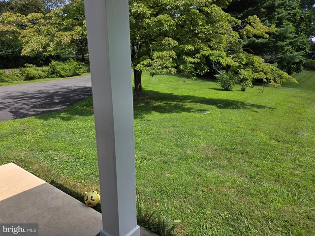 a view of a yard with a tree