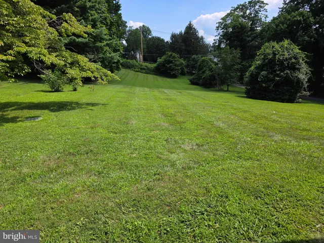 a view of a grassy field with trees