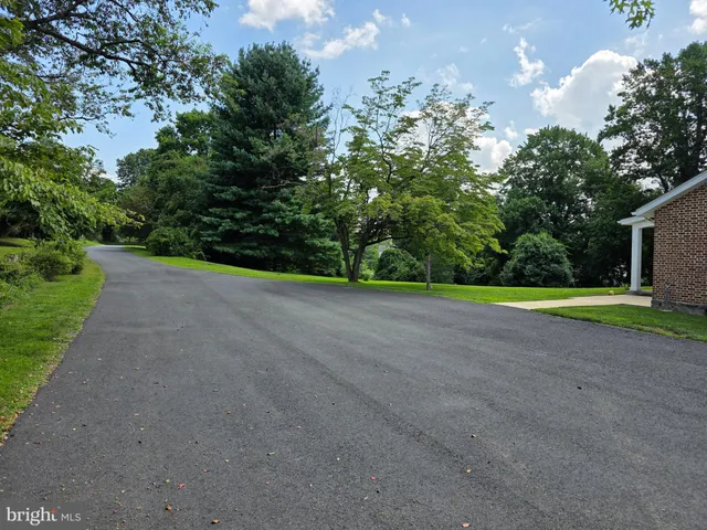 a view of a garden with a bench