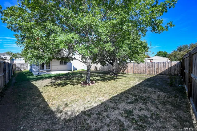 a view of a yard with plants and a large tree