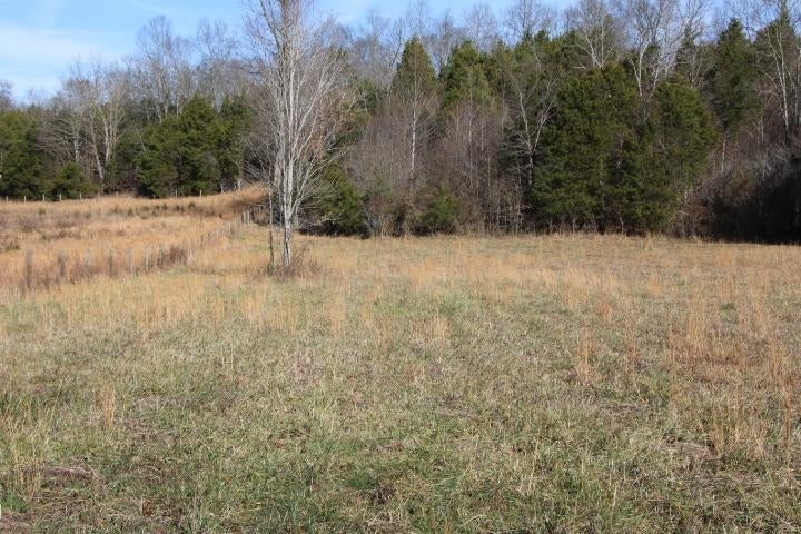 Froedge Dubree Road Summer Shade, KY 42166 - Photo 11 of 37 Gallery Image 11