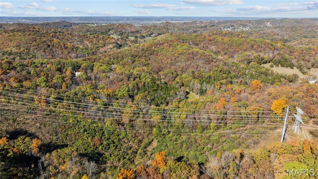 3476 Bassett Road Pacific, MO 63069 - Photo 12 of 18