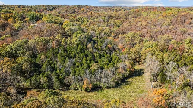 $1,200,000 | 3476 Bassett Road, Pacific, MO 63069