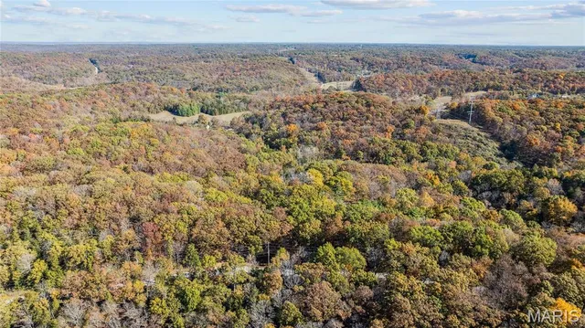 $1,200,000 | 3476 Bassett Road, Pacific, MO 63069
